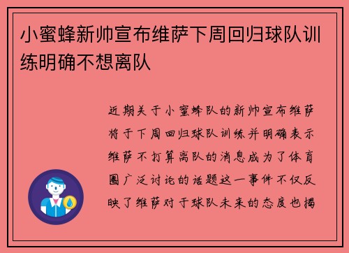 小蜜蜂新帅宣布维萨下周回归球队训练明确不想离队 小蜜蜂新帅宣布维萨下周回归球队训练明确不想离队